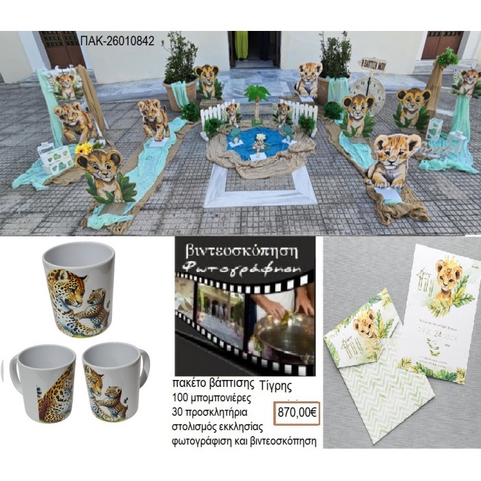 ΤΙΓΡΗΣ πακέτο βάπτισης 100 μπομπονιέρες 30 προσκλητήρια στολισμός εκκλησίας φωτογράφιση βιντεοσκόπηση ΠΑΚ-26010842 870.00€!!!