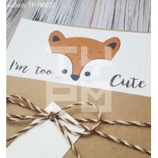 ΠΡΟΣΚΛΗΤΗΡΙΟ ΒΑΠΤΙΣΗΣ ΑΛΕΠΟΥ ΣΕ ΦΑΚΕΛΟ ΘΗΚΗ ΚΡΑΦΤ ΧΑΡΤΙ ΤΡ-19Β073