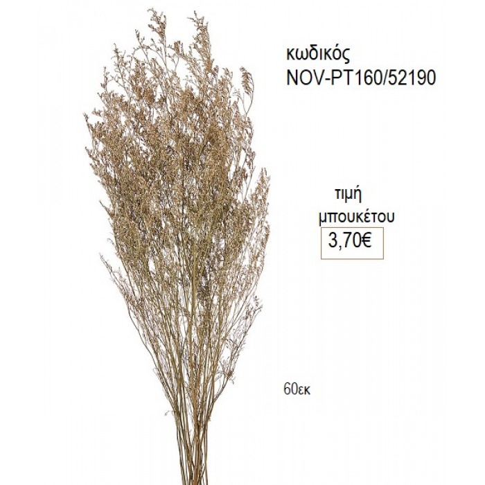 ΑΠΟΞΗΡΑΜΕΝΟ LIMONIUM ΜΠΟΥΚΕΤΟ ΧΡΩΜΑ ΛΕΥΚΟ NOV-ΡΤ160/52190 3.70€!!!