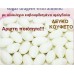 ΑΜΥΓΔΑΛΟΥ ALMOND ΚΟΥΦΕΤA ΠΑΡΑΔΟΣΙΑΚΑ ΑΘΗΝΩΝ